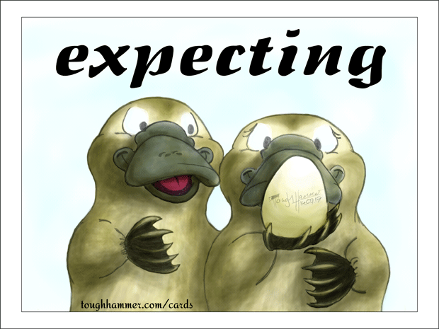2 platypus with a paltypus egg: “expecting”
