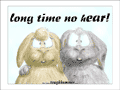 2  bunny rabbits with drooping ears: “Long time no hEAR!”