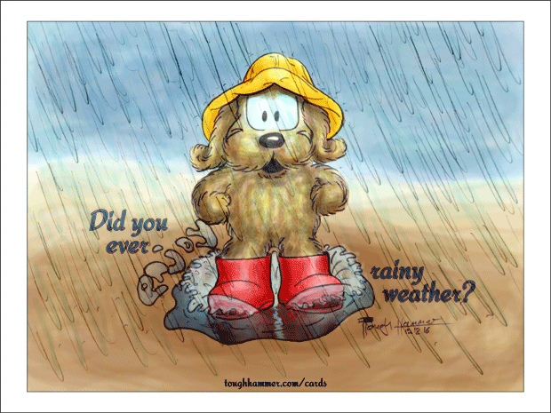 Did you ever enjoy rainy weather?