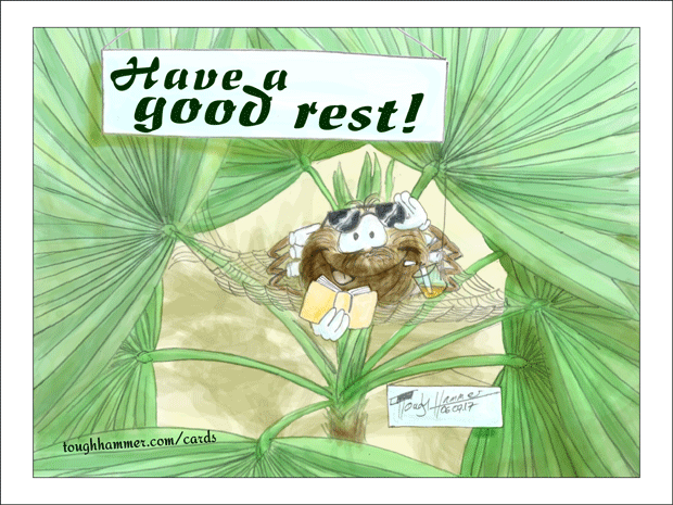 A spider lays back in a spider web hammock between palm leaves: “Have a good rest!”